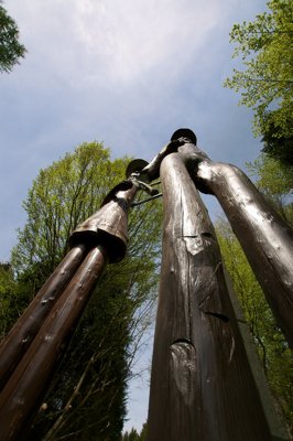 Les géants de bois_4566362324_l.jpg